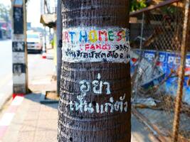 enchaînant Mai, Thaïlande, 2023 - information sur arbre en dessous de jour photo