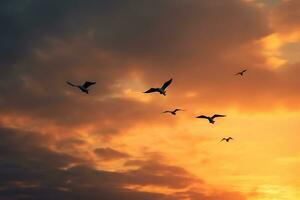 troupeau de des oiseaux migrer pendant le coucher du soleil. des nuages pour Contexte. ai généré. photo