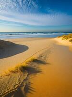 le le sable dunes et herbe sur le plage ai généré photo