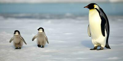 papa ou maman et bébé pingouins. père aimer, liaison et parentalité concept. photo