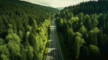 génératif ai, aérien vue de route entre vert forêt, vert paysage photo