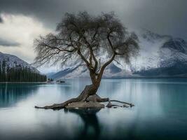 une seul arbre des stands sur le rive de une Lac avec montagnes dans le Contexte ai généré photo