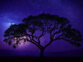 une majestueux arbre silhouette contre une toile de fond de le vaste nuit ciel rempli avec étoiles ai généré photo