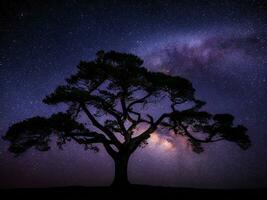 une majestueux arbre silhouette contre une toile de fond de le vaste nuit ciel rempli avec étoiles ai généré photo