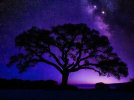 une majestueux arbre silhouette contre une toile de fond de le vaste nuit ciel rempli avec étoiles ai généré photo