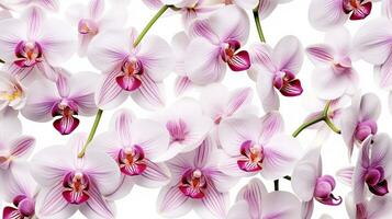 orchidée fleur à motifs Contexte. fleur texture Contexte. génératif ai photo