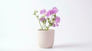 photo de sucré pois fleur dans pot isolé sur blanc Contexte. génératif ai