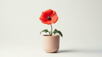 photo de coquelicot fleur dans pot isolé sur blanc Contexte. génératif ai