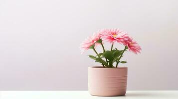 photo de rose fleur dans pot isolé sur blanc Contexte. génératif ai