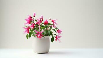 photo de fuchsia fleur dans pot isolé sur blanc Contexte. génératif ai