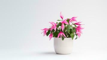 photo de fuchsia fleur dans pot isolé sur blanc Contexte. génératif ai