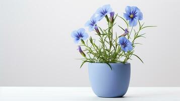 photo de lin fleur dans pot isolé sur blanc Contexte. génératif ai