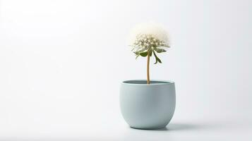 photo de pissenlit fleur dans pot isolé sur blanc Contexte. génératif ai