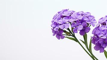 photo de magnifique statice fleur isolé sur blanc Contexte. génératif ai