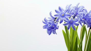 photo de magnifique squille fleur isolé sur blanc Contexte. génératif ai