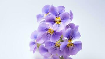 photo de magnifique nemesia fleur isolé sur blanc Contexte. génératif ai