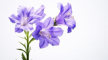 photo de magnifique larkspur fleur isolé sur blanc Contexte. génératif ai