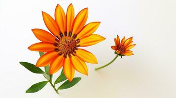 photo de magnifique gazania fleur isolé sur blanc Contexte. génératif ai