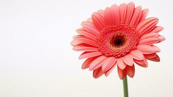 photo de magnifique gerbera fleur isolé sur blanc Contexte. génératif ai