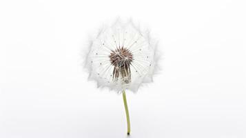 photo de magnifique pissenlit fleur isolé sur blanc Contexte. génératif ai