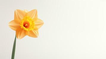 photo de magnifique jonquille fleur isolé sur blanc Contexte. génératif ai