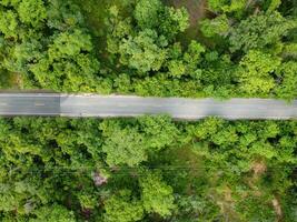 aérien photographier, vert forêt avec route photo