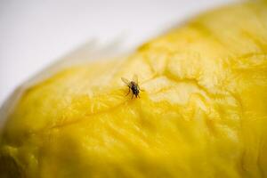 une sale mouche essaim sur le durian à le fruit marché. photo