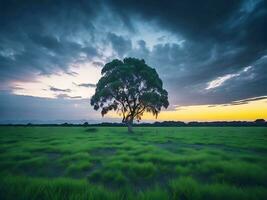 gratuit photo large angle coup de une Célibataire arbre croissance en dessous de une assombri ciel pendant une le coucher du soleil entouré par herbe