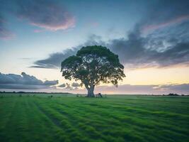 gratuit photo large angle coup de une Célibataire arbre croissance en dessous de une assombri ciel pendant une le coucher du soleil entouré par herbe