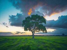 gratuit photo large angle coup de une Célibataire arbre croissance en dessous de une assombri ciel pendant une le coucher du soleil entouré par herbe