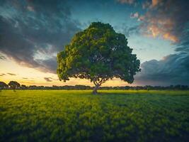 gratuit photo large angle coup de une Célibataire arbre croissance en dessous de une assombri ciel pendant une le coucher du soleil entouré par herbe