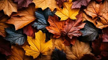 fond coloré fait de feuilles d'automne tombées photo