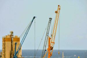 grues dans le océan photo