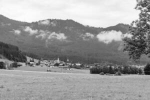 dans le autrichien Alpes photo