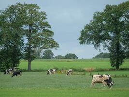 été temps dans le Pays-Bas photo