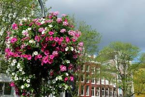 Amsterdam aux Pays-Bas photo