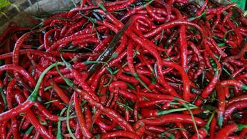 piles de rouge le Chili poivre dans conteneurs photo