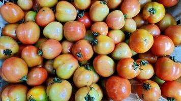 piles de tomates dans conteneurs vendu dans traditionnel marchés photo