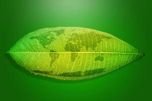 vert feuille environnement concept enregistrer le Terre. photo