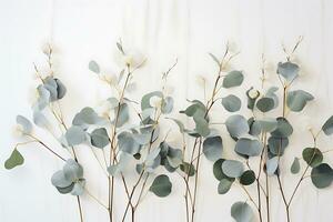 eucalyptus branche avec moderne vase dans méditerranéen blanc environnant. ai généré photo