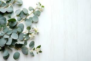 eucalyptus branche avec moderne vase dans méditerranéen blanc environnant. ai généré photo