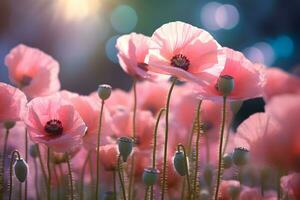 rose coquelicots dans le champ printemps fleur avec flou arrière-plan, ai produire photo