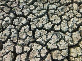 une sécheresse est une période de plus sec que Ordinaire conditions. sec fissuré Terre sol.naturel sécheresse fissurée sol établi texture. photo