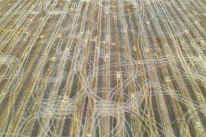 ferme champ avec tracteur traces après récolte, vues de au-dessus de. la nature Contexte. photo
