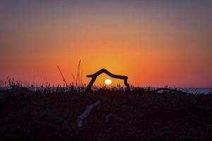 coucher de soleil à travers le bois flotté photo