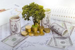 l'arbre grandit à la fois sur la progression de l'argent et des rapports financiers, ainsi que sur les comptes financiers, les affaires, les investissements sur la table de l'investisseur. concept d'investissement avant