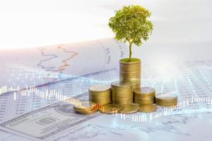 l'arbre grandit à la fois sur la progression de l'argent et des rapports financiers, ainsi que sur les comptes financiers, les affaires, les investissements sur la table de l'investisseur. concept d'investissement avant