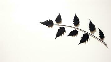 ombres de feuilles sur une mur. silhouette concept photo