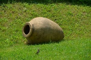 vieux du vin pot dans vert herbe photo