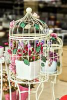 mariage décoratif cage photo